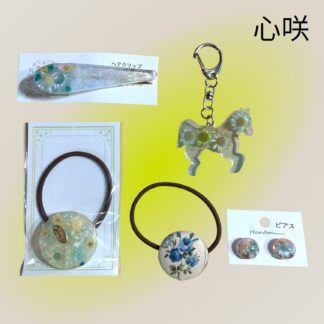 心咲  43  お得セット