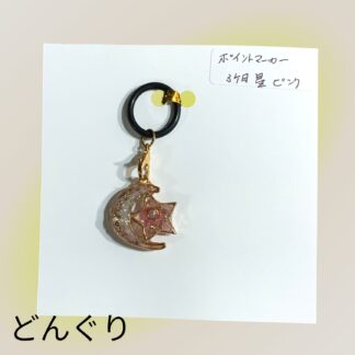 どんぐり  25  目印マーカー
