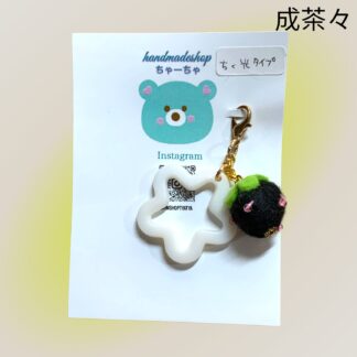 成茶々  11  チャーム