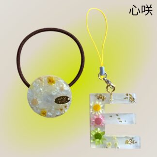 心咲  106  レジンセット