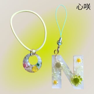 心咲  101  レジンセット