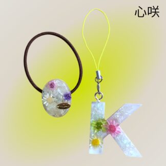 心咲  100  レジンセット