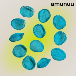 amunuu  833  シフォン