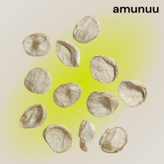 amunuu  834  シフォン