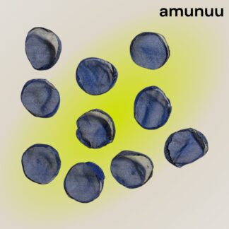 amunuu  832  シフォン