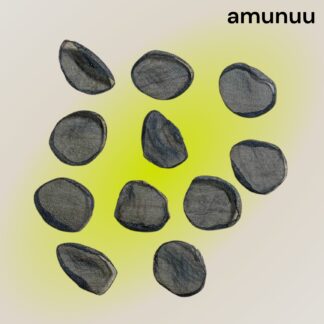 amunuu  830  シフォン