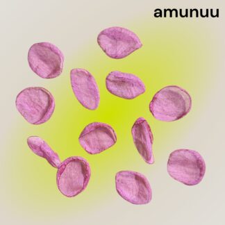 amunuu  827  シフォン