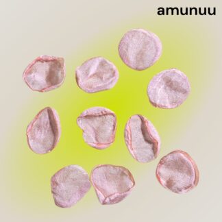 amunuu  829  シフォン