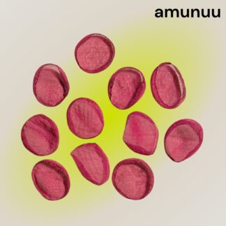 amunuu  831  シフォン
