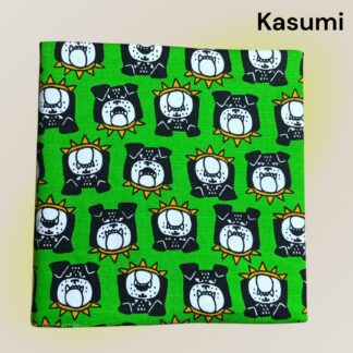 Kasumi  161  ファイルカバー